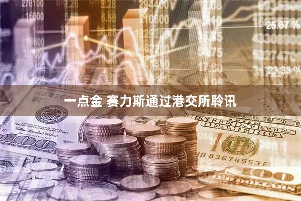一点金 赛力斯通过港交所聆讯