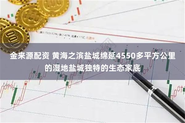 金来源配资 黄海之滨盐城绵延4550多平方公里的湿地盐城独特的生态家底