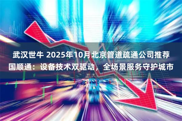 武汉世牛 2025年10月北京管道疏通公司推荐国顺通：设备技术双驱动，全场景服务守护城市