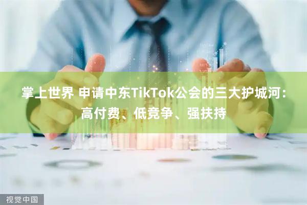 掌上世界 申请中东TikTok公会的三大护城河：高付费、低竞争、强扶持